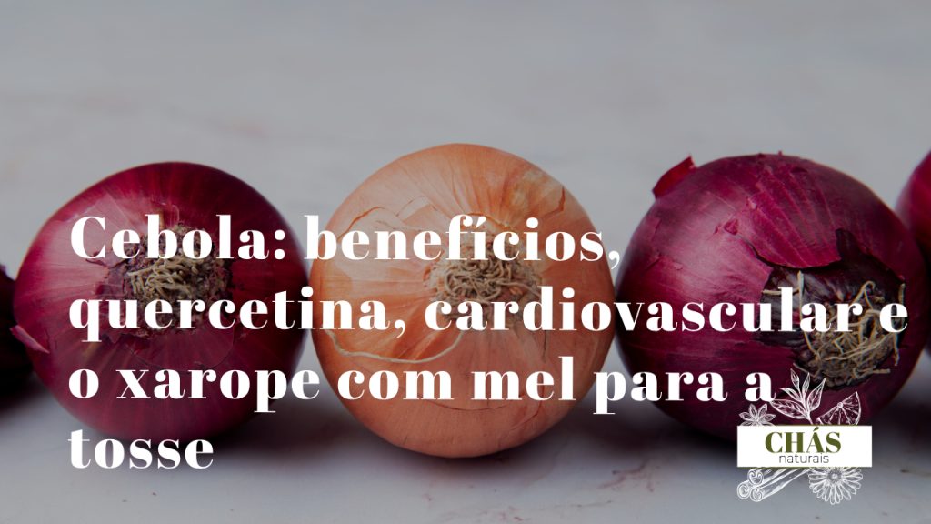 cebola benefícios — cebolas roxas e brancas Allium cepa cortadas com camadas visíveis ricas em quercetina