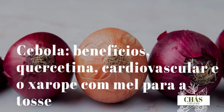 cebola benefícios — cebolas roxas e brancas Allium cepa cortadas com camadas visíveis ricas em quercetina