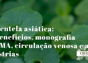 centela asiática benefícios — folhas redondas rasteiras de Centella asiatica planta venosa e cicatrizante com monografia EMA