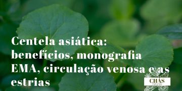 centela asiática benefícios — folhas redondas rasteiras de Centella asiatica planta venosa e cicatrizante com monografia EMA