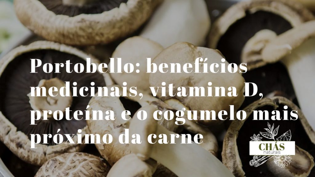 benefícios do portobello — cogumelo portobello maduro com chapéu largo castanho e lamelas escuras visíveis sobre pedra