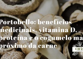 benefícios do portobello — cogumelo portobello maduro com chapéu largo castanho e lamelas escuras visíveis sobre pedra