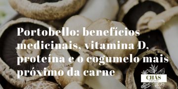 benefícios do portobello — cogumelo portobello maduro com chapéu largo castanho e lamelas escuras visíveis sobre pedra