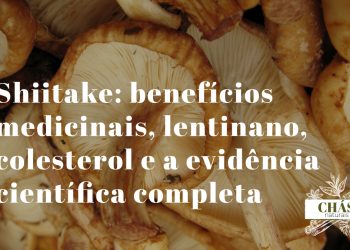 benefícios do shiitake — cogumelos shiitake frescos com chapéu aberto mostrando as lamelas sobre superfície de madeira