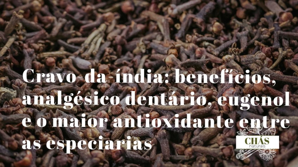 cravo-da-índia benefícios — botões florais secos de Syzygium aromaticum especiaria medicinal com eugenol