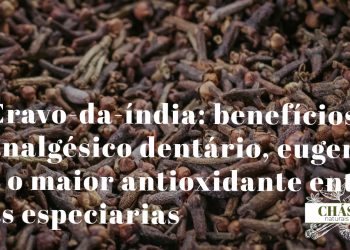 cravo-da-índia benefícios — botões florais secos de Syzygium aromaticum especiaria medicinal com eugenol