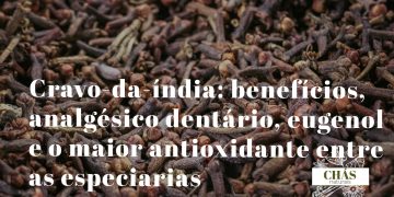 cravo-da-índia benefícios — botões florais secos de Syzygium aromaticum especiaria medicinal com eugenol