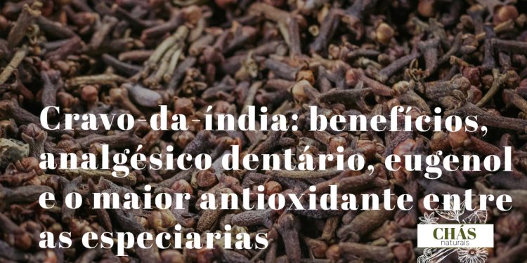 cravo-da-índia benefícios — botões florais secos de Syzygium aromaticum especiaria medicinal com eugenol