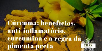 cúrcuma benefícios — rizoma fresco e pó de Curcuma longa especiaria amarela com curcumina