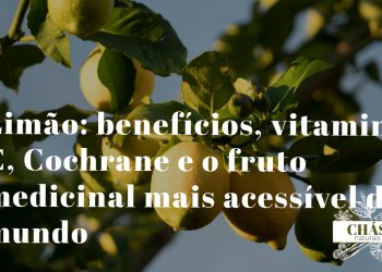 limão benefícios — limões amarelos frescos Citrus limon cortados com polpa e casca ricas em vitamina C