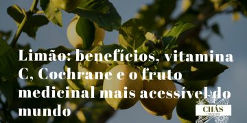 limão benefícios — limões amarelos frescos Citrus limon cortados com polpa e casca ricas em vitamina C