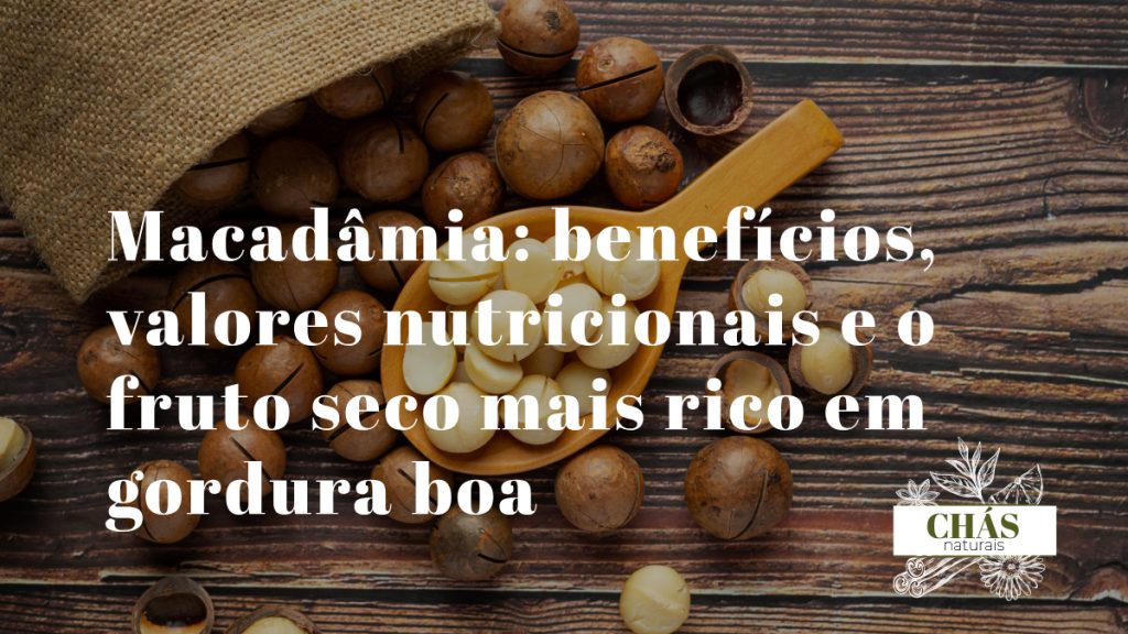 benefícios da macadâmia — macadâmias descascadas com textura amanteigada branco-creme sobre superfície de madeira