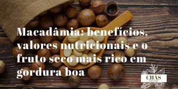benefícios da macadâmia — macadâmias descascadas com textura amanteigada branco-creme sobre superfície de madeira