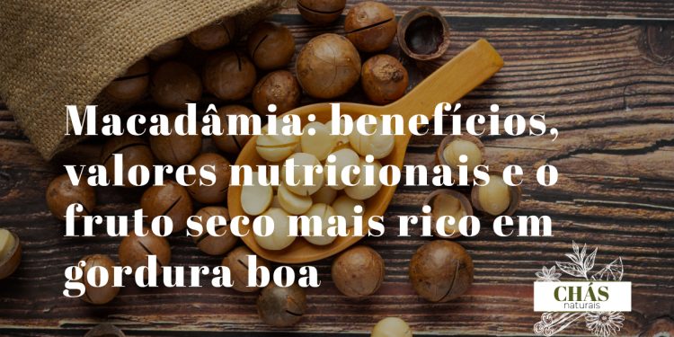 benefícios da macadâmia — macadâmias descascadas com textura amanteigada branco-creme sobre superfície de madeira
