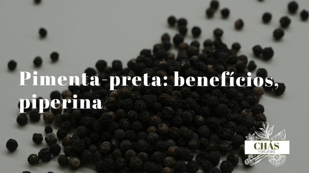 pimenta-preta benefícios — grãos inteiros e moídos de Piper nigrum especiaria mais comercializada do mundo