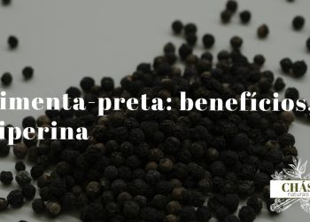 pimenta-preta benefícios — grãos inteiros e moídos de Piper nigrum especiaria mais comercializada do mundo
