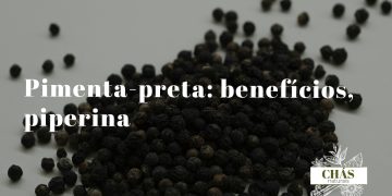 pimenta-preta benefícios — grãos inteiros e moídos de Piper nigrum especiaria mais comercializada do mundo