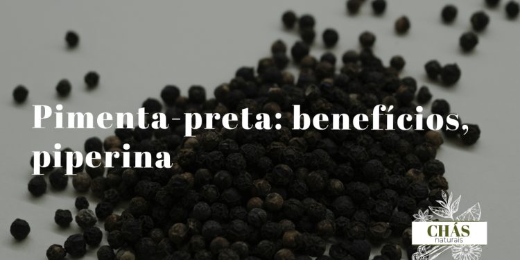 pimenta-preta benefícios — grãos inteiros e moídos de Piper nigrum especiaria mais comercializada do mundo