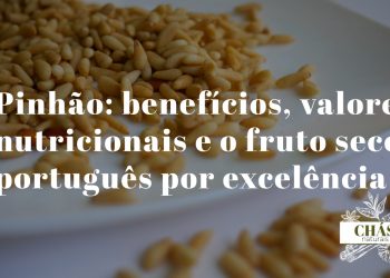 benefícios do pinhão — pinhões portugueses do pinheiro-manso Pinus pinea sobre fundo de madeira rústica