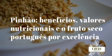 benefícios do pinhão — pinhões portugueses do pinheiro-manso Pinus pinea sobre fundo de madeira rústica