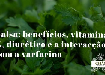 salsa benefícios — ramos frescos de Petroselinum crispum salsa lisa erva aromática portuguesa