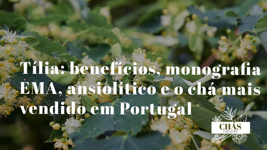 tília benefícios — flores e brácteas perfumadas de Tilia cordata árvore ansiolítica com monografia EMA