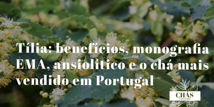 tília benefícios — flores e brácteas perfumadas de Tilia cordata árvore ansiolítica com monografia EMA