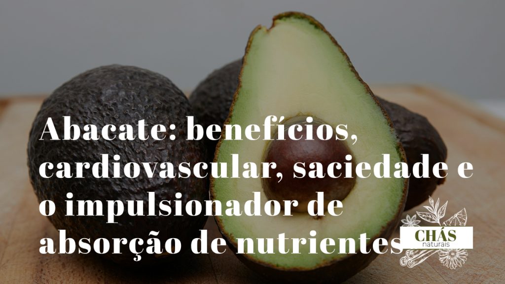 abacate benefícios — abacate Persea americana cortado com polpa cremosa rica em ácido oleico e potássio