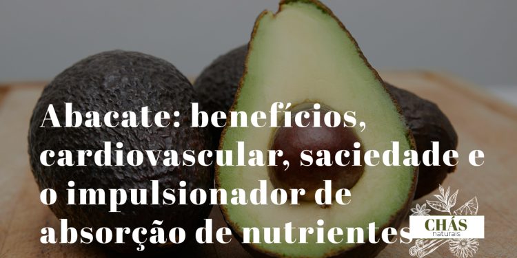 abacate benefícios — abacate Persea americana cortado com polpa cremosa rica em ácido oleico e potássio