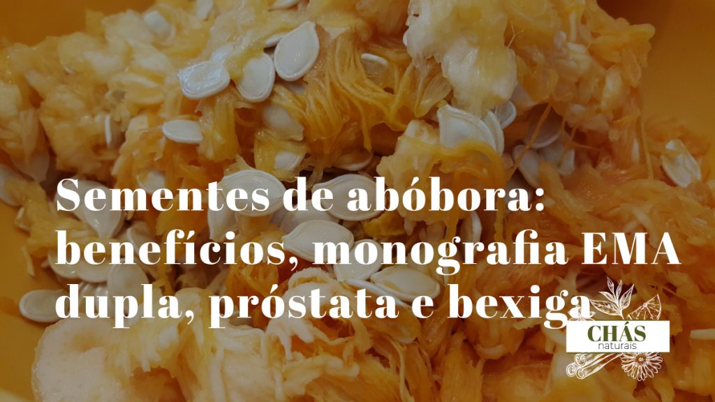 sementes de abóbora benefícios — sementes verdes de Cucurbita pepo ricas em zinco e fitosteróis
