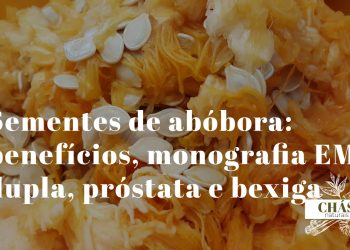 sementes de abóbora benefícios — sementes verdes de Cucurbita pepo ricas em zinco e fitosteróis