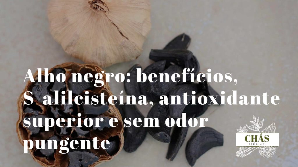 alho negro benefícios — dentes de alho negro fermentado com textura macia e cor preta ricos em S-alilcisteína