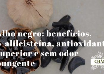 alho negro benefícios — dentes de alho negro fermentado com textura macia e cor preta ricos em S-alilcisteína
