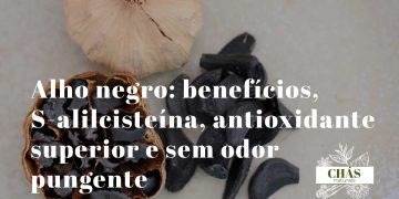 alho negro benefícios — dentes de alho negro fermentado com textura macia e cor preta ricos em S-alilcisteína