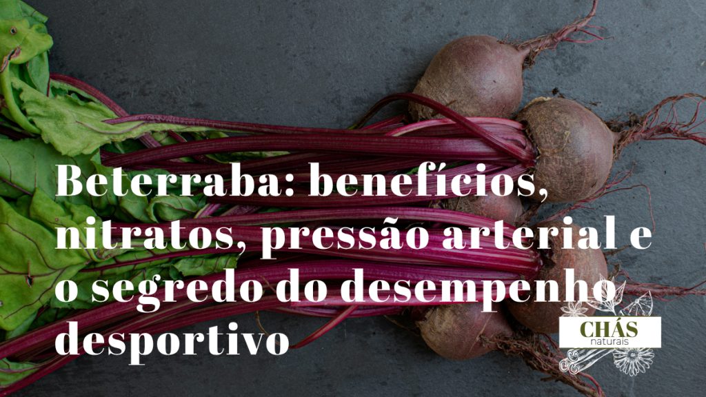 beterraba benefícios — beterrabas vermelhas Beta vulgaris cortadas com sumo rico em nitratos para óxido nítrico