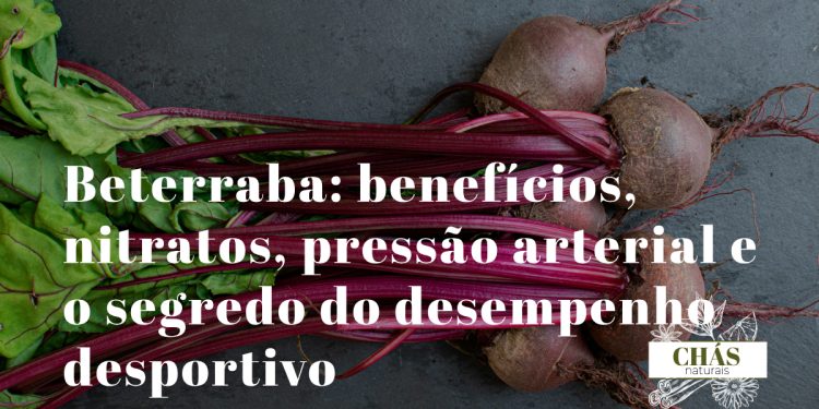 beterraba benefícios — beterrabas vermelhas Beta vulgaris cortadas com sumo rico em nitratos para óxido nítrico