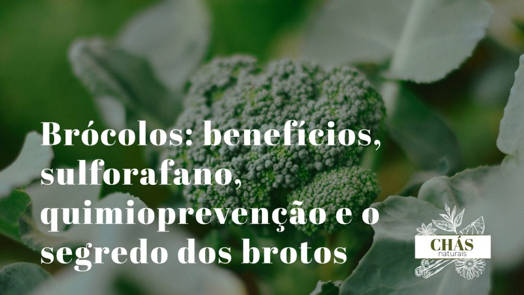 brócolos benefícios — ramos verdes de brócolos frescos e brotos germinados ricos em sulforafano