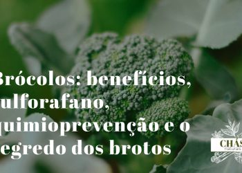 brócolos benefícios — ramos verdes de brócolos frescos e brotos germinados ricos em sulforafano