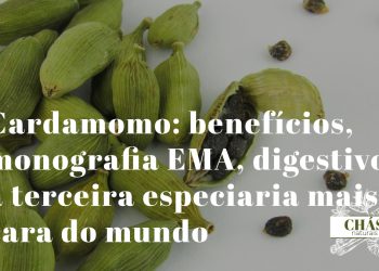 cardamomo benefícios — vagens verdes e sementes de Elettaria cardamomum especiaria digestiva com monografia EMA