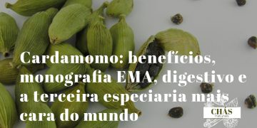 cardamomo benefícios — vagens verdes e sementes de Elettaria cardamomum especiaria digestiva com monografia EMA