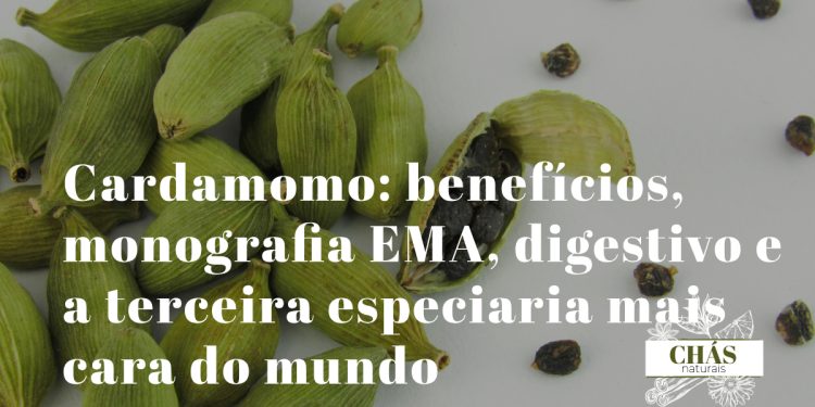 cardamomo benefícios — vagens verdes e sementes de Elettaria cardamomum especiaria digestiva com monografia EMA