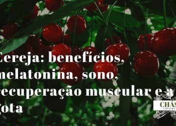 cereja benefícios — cerejas vermelhas Prunus cerasus variedade Montmorency ricas em melatonina natural
