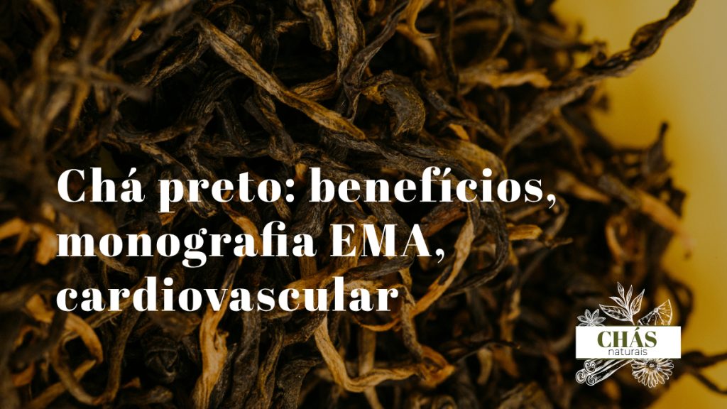 chá preto benefícios — folhas oxidadas de Camellia sinensis chá preto em infusão com monografia EMA para fadiga mental