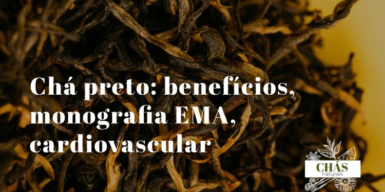 chá preto benefícios — folhas oxidadas de Camellia sinensis chá preto em infusão com monografia EMA para fadiga mental