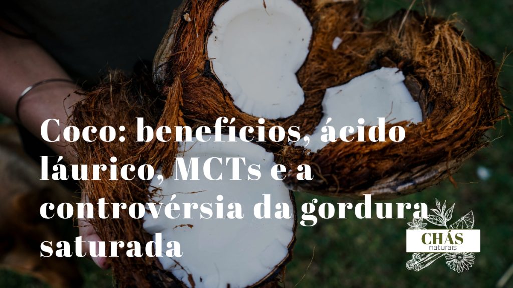 coco benefícios — coco fresco Cocos nucifera aberto com água de coco e polpa rica em ácido láurico e MCTs