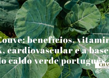 couve benefícios — folhas verde-escuras de couve-galega Brassica oleracea ricas em vitamina K
