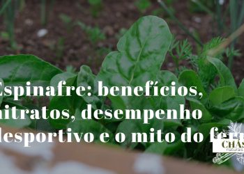 espinafre benefícios — folhas verde-escuras de Spinacia oleracea ricas em nitratos e luteína