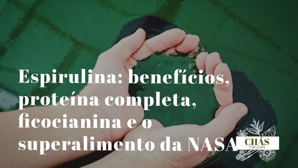 espirulina benefícios — pó azul-esverdeado de Arthrospira platensis superalimento com ficocianina e proteína completa