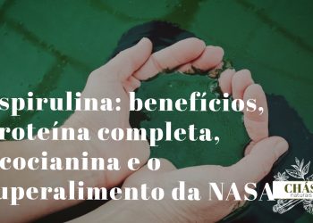 espirulina benefícios — pó azul-esverdeado de Arthrospira platensis superalimento com ficocianina e proteína completa