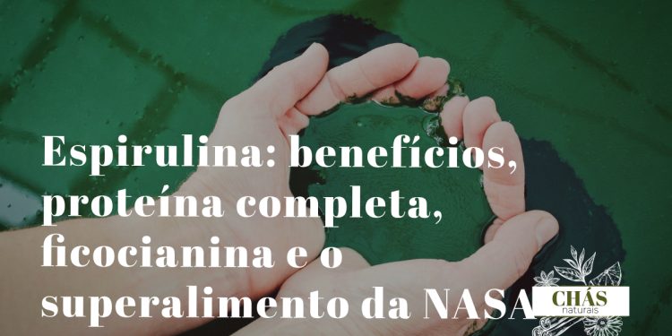 espirulina benefícios — pó azul-esverdeado de Arthrospira platensis superalimento com ficocianina e proteína completa